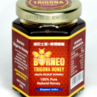 Borneo Trigona Honey (银蜂蜜) 210ml
