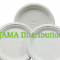 Biodegradable and Compostable 9' Plate (50 Units Per Outer)