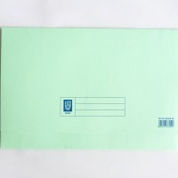 Green Colour Lion File Pocket File (144 Units Per Carton)