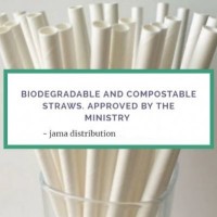 Biodegradable and Compostable Straw 6mm x 210mm (250 Units Per Outer)