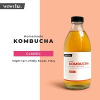 WOWCHA Homemade Kombucha Drink Tea - 300ml each