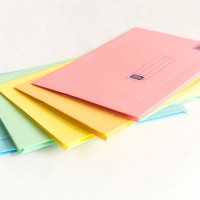 Assorted Colour Lion File brand Pocket File (144 Units Per Carton)