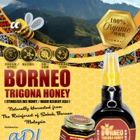 Borneo Trigona / Stingless Honey (银蜂蜜) 500ml (12 Units Per Carton)