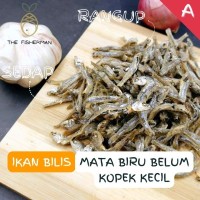 [Borong] Ikan Bilis Mata Biru Belum Kopek Kecil XS size A ( 1KG  Pack) - The Fisherman